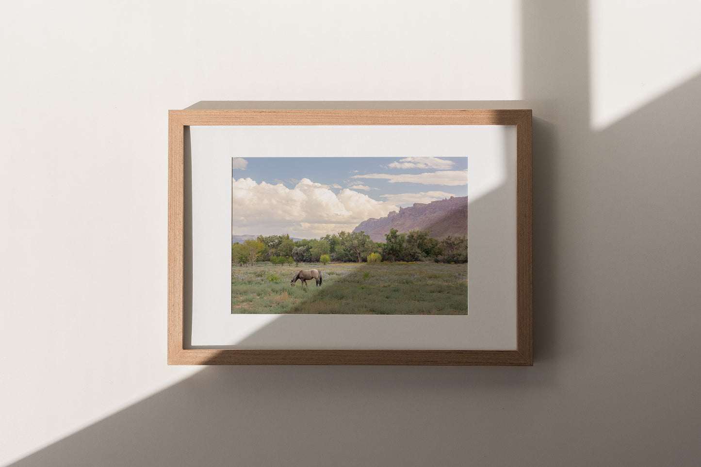 Moab Magic Landscape