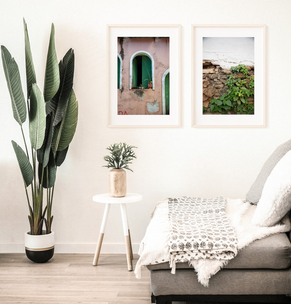 Salvador Green Shutters