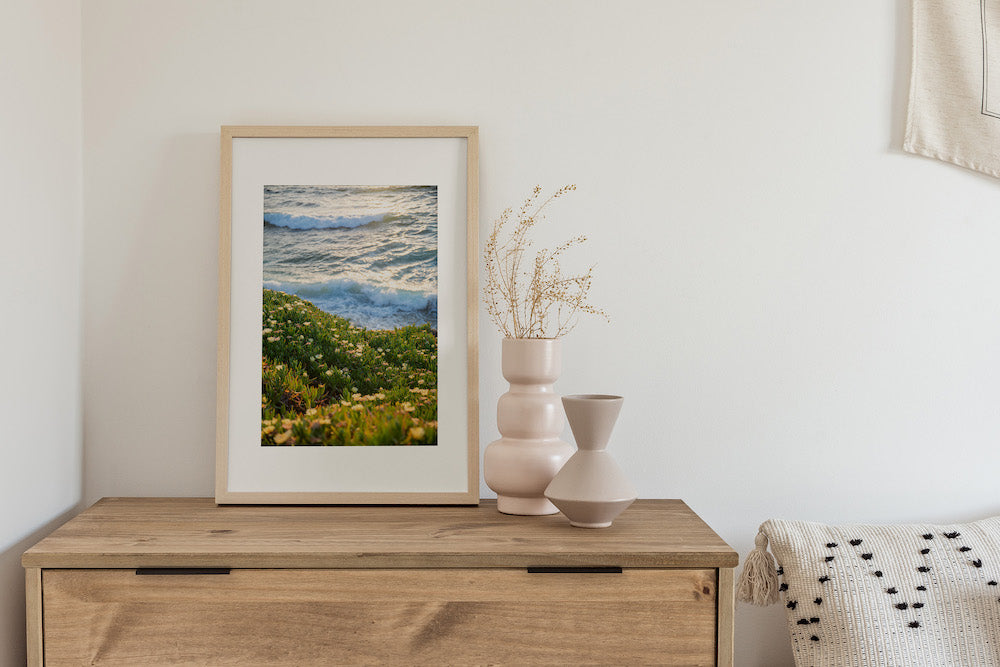 Waves and Ice Plant