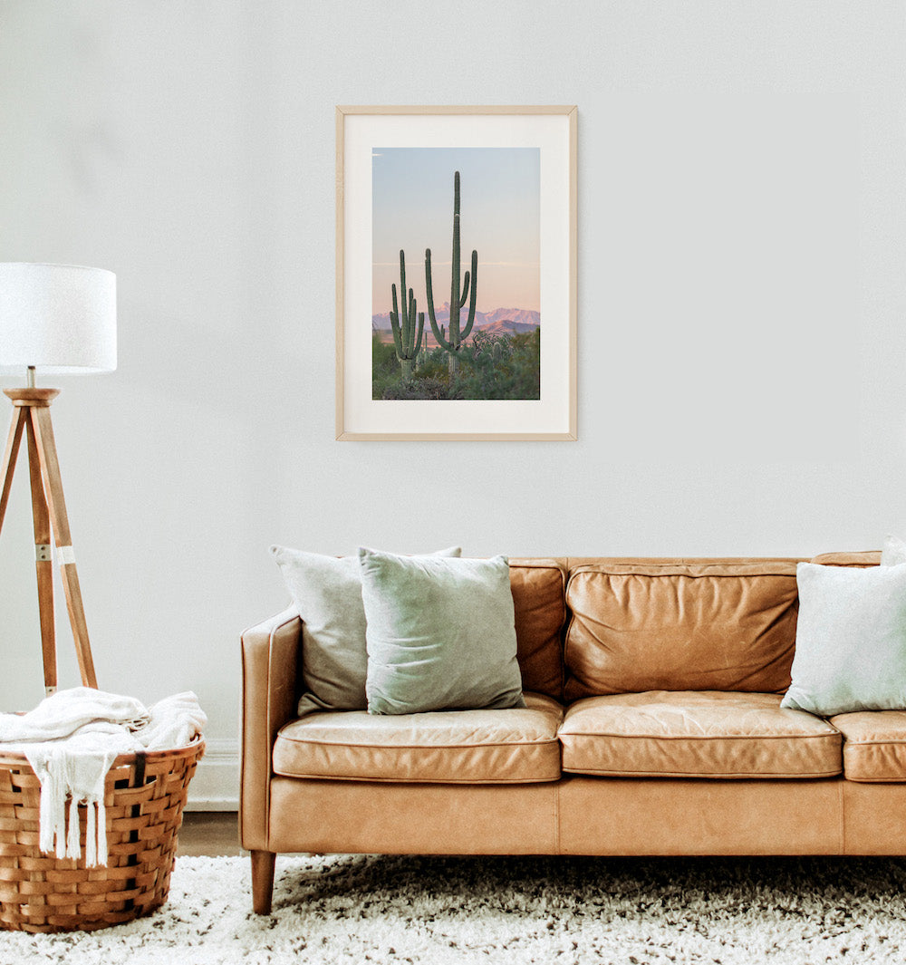 Saguaro Sunrise