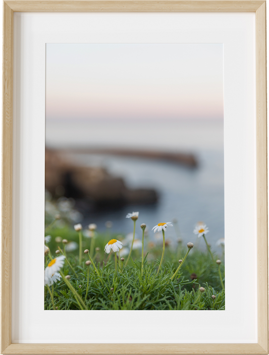 Children's Pool Chamomile