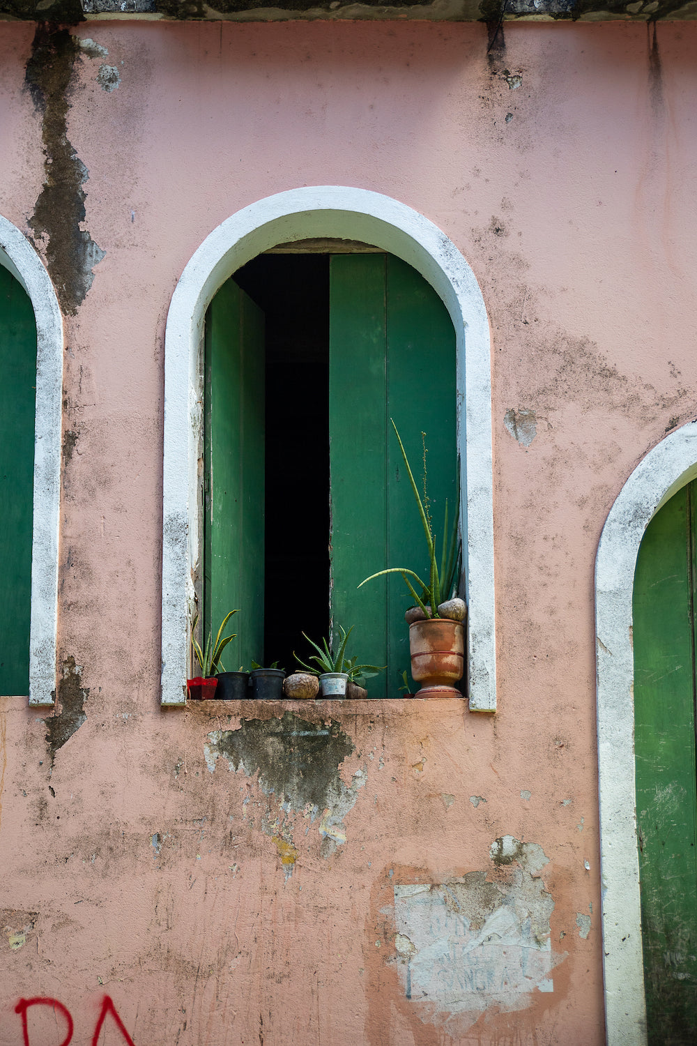 Salvador Green Shutters