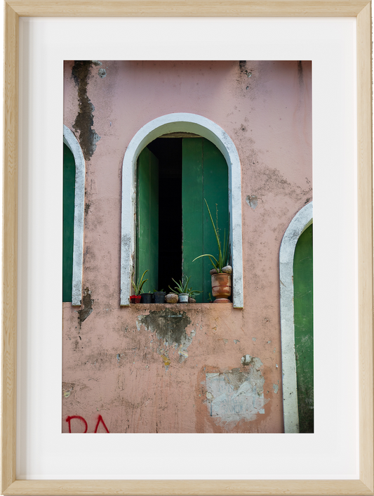 Salvador Green Shutters