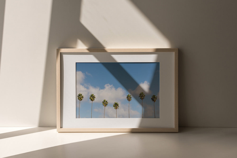 Dancing Palms