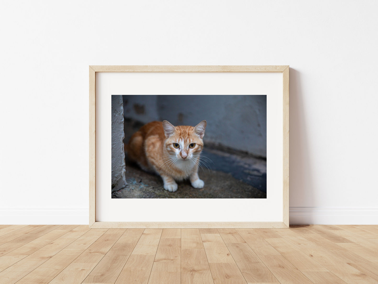 River Cat