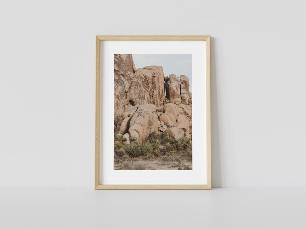 Joshua Tree Rock Outcropping