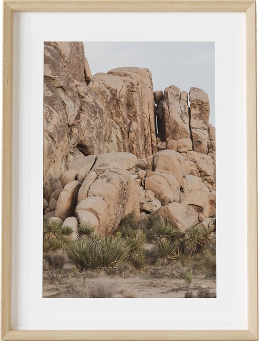 Joshua Tree Rock Outcropping