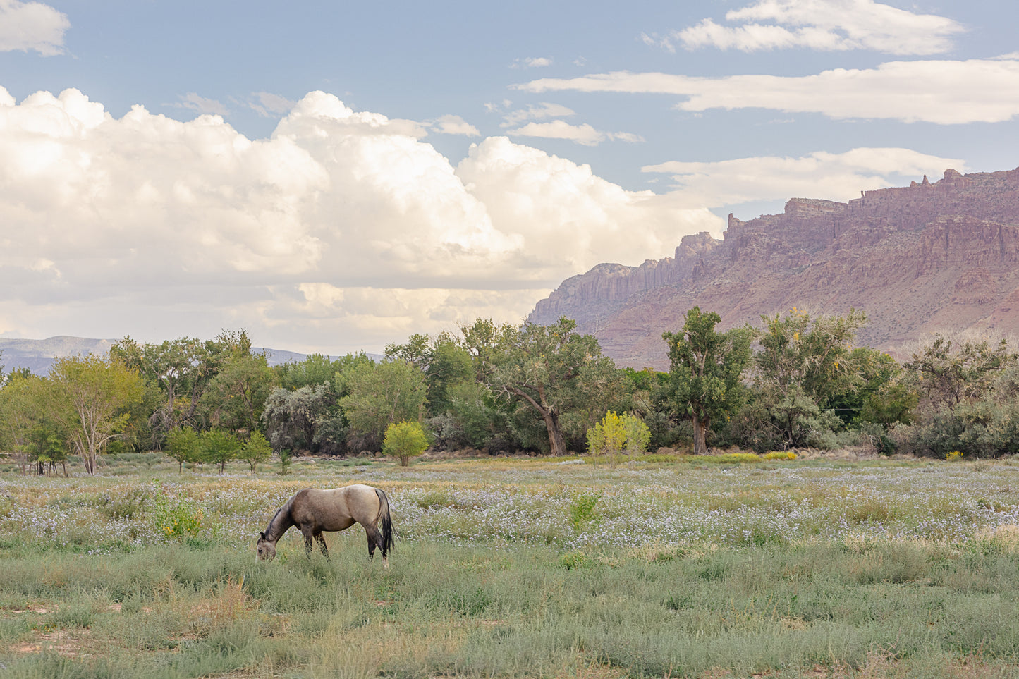 Moab Magic Landscape