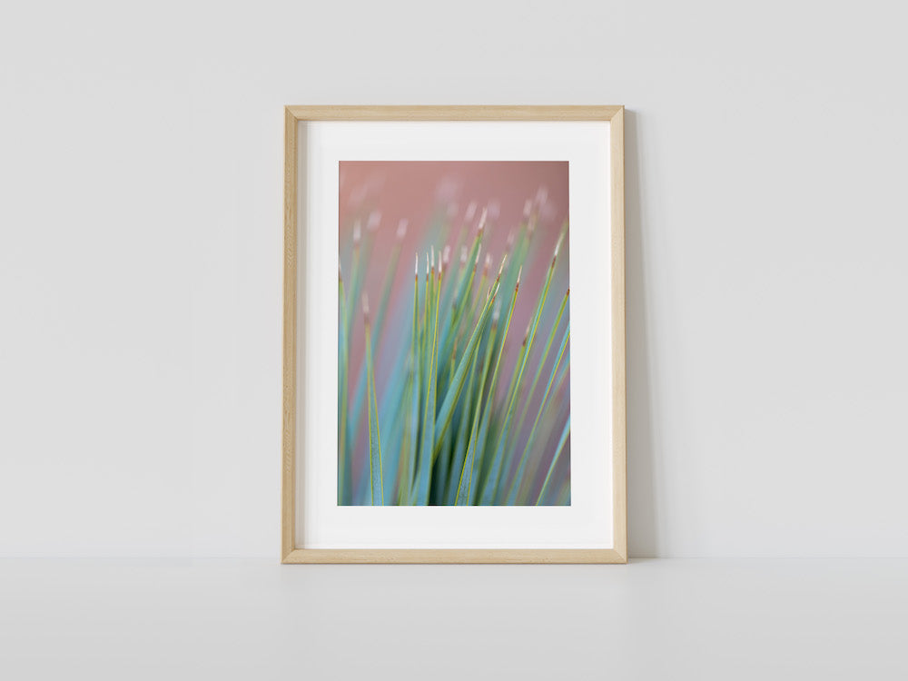 Pink Palm Abstract