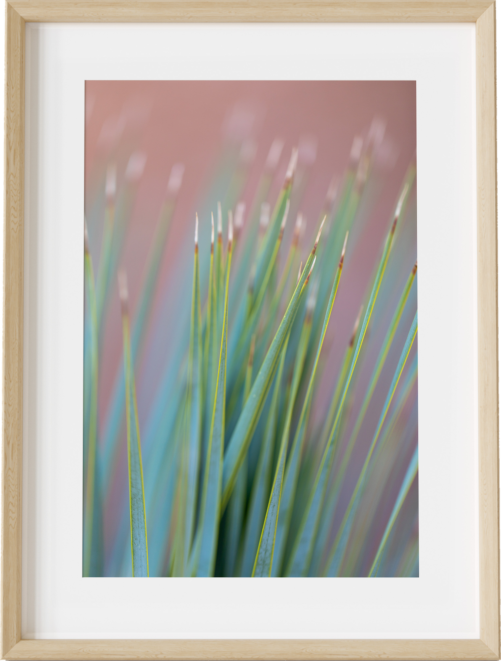 Pink Palm Abstract