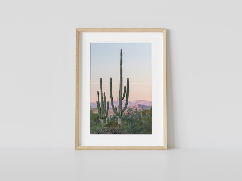 Saguaro Sunrise