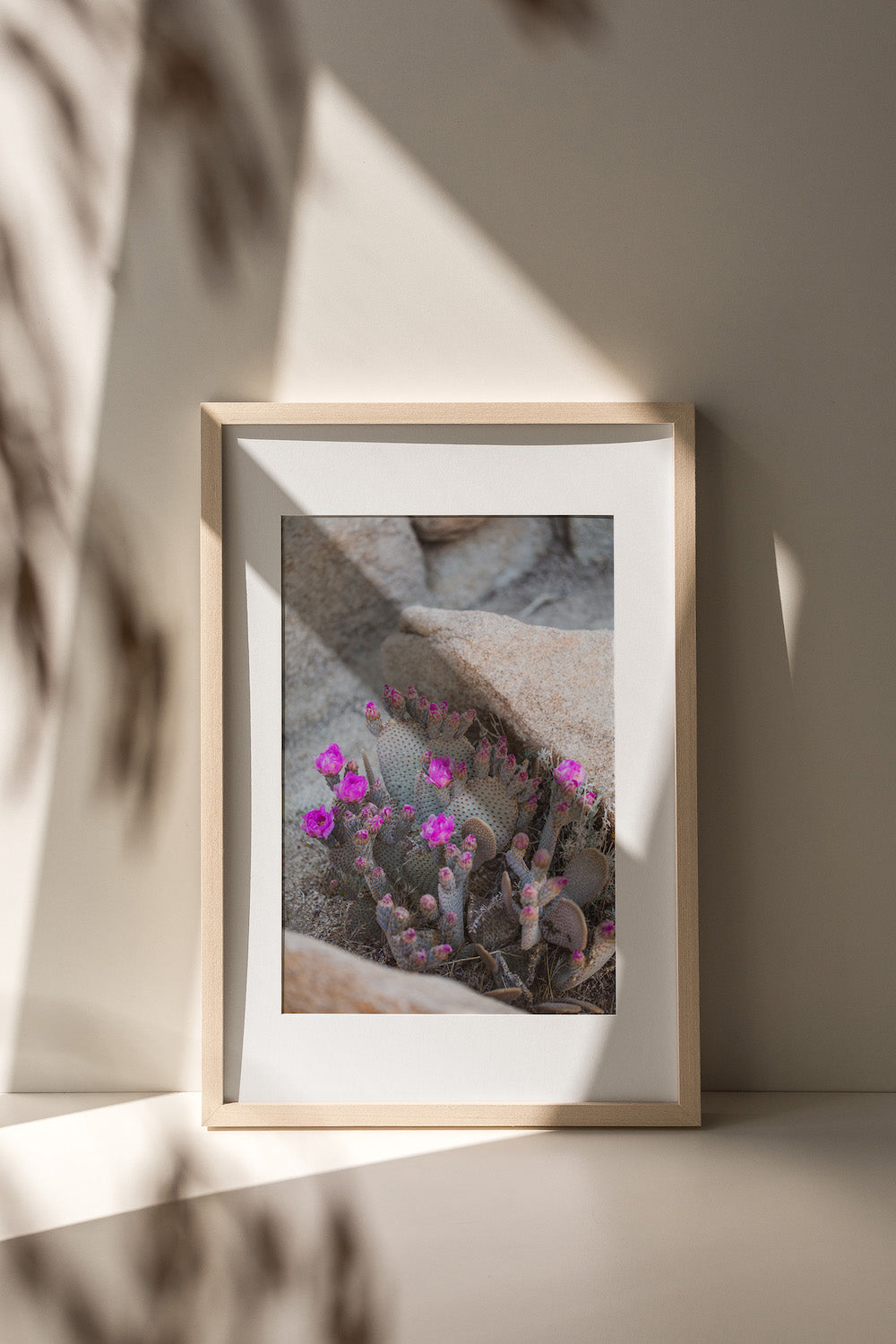 Blooms & Rocks