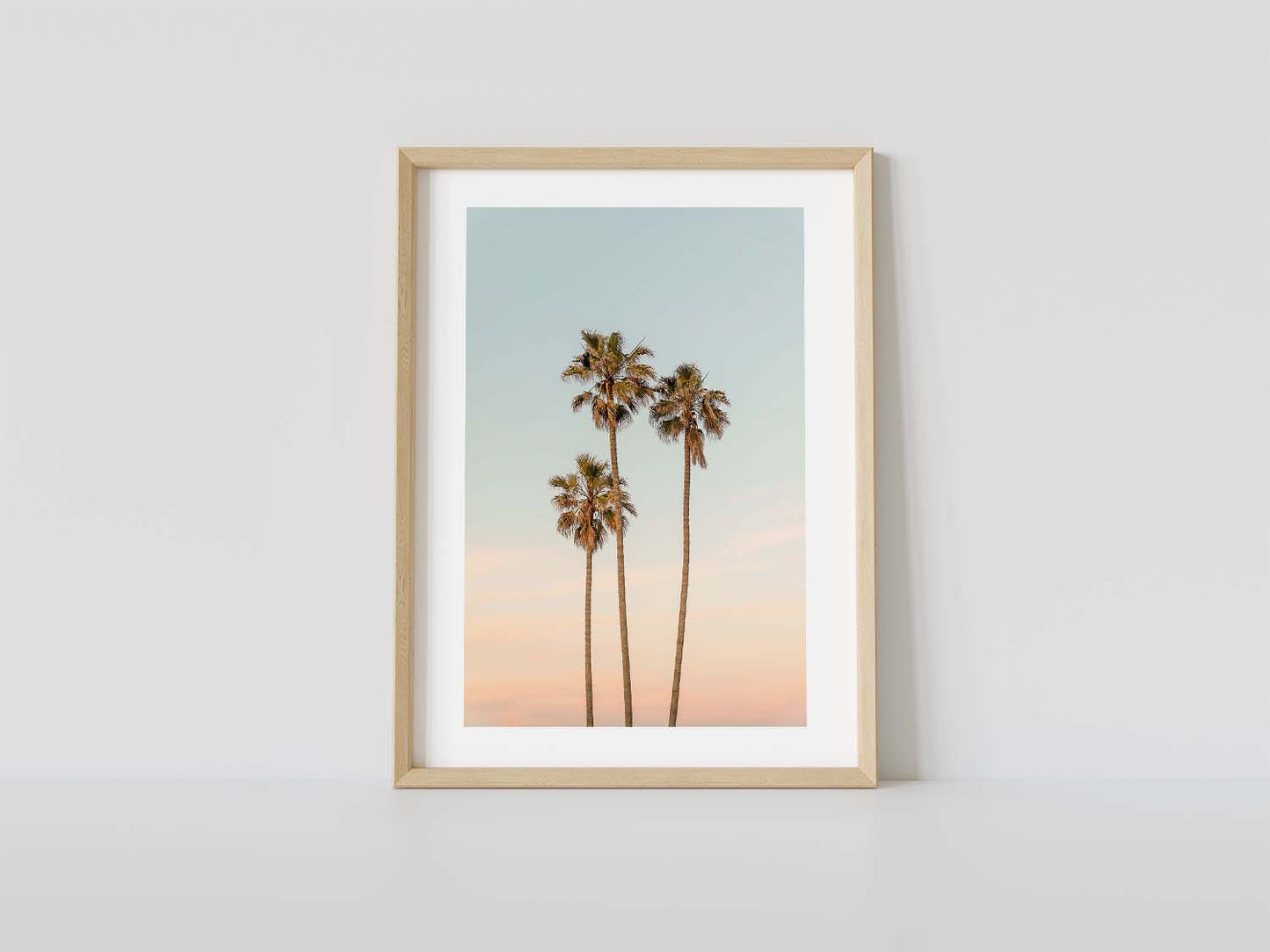 La Jolla Sunset Palms