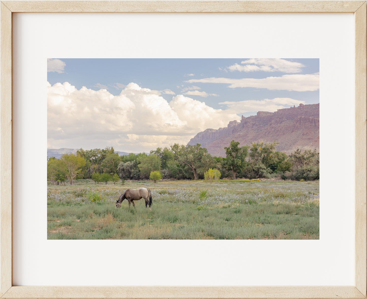 Moab Magic Landscape