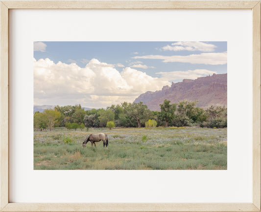 Moab Magic Landscape