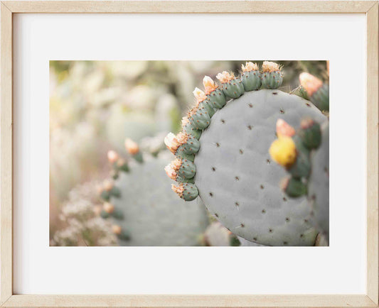 Flower Crowns Horizontal
