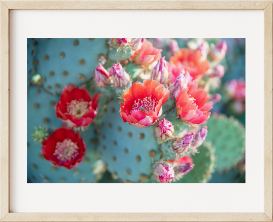 Bright Flower Crown Horizontal