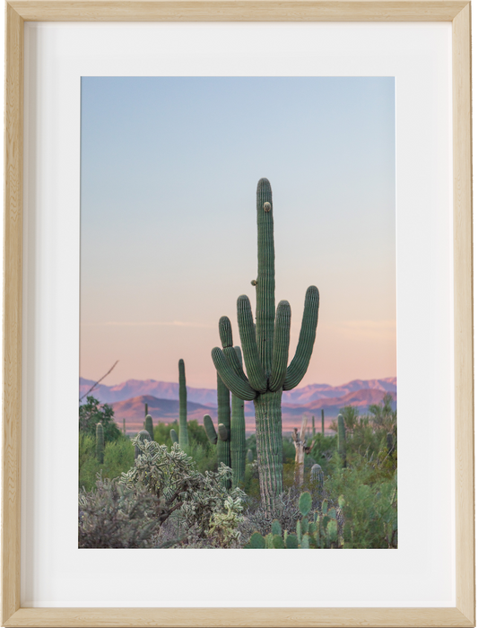 Southwest Saguaro