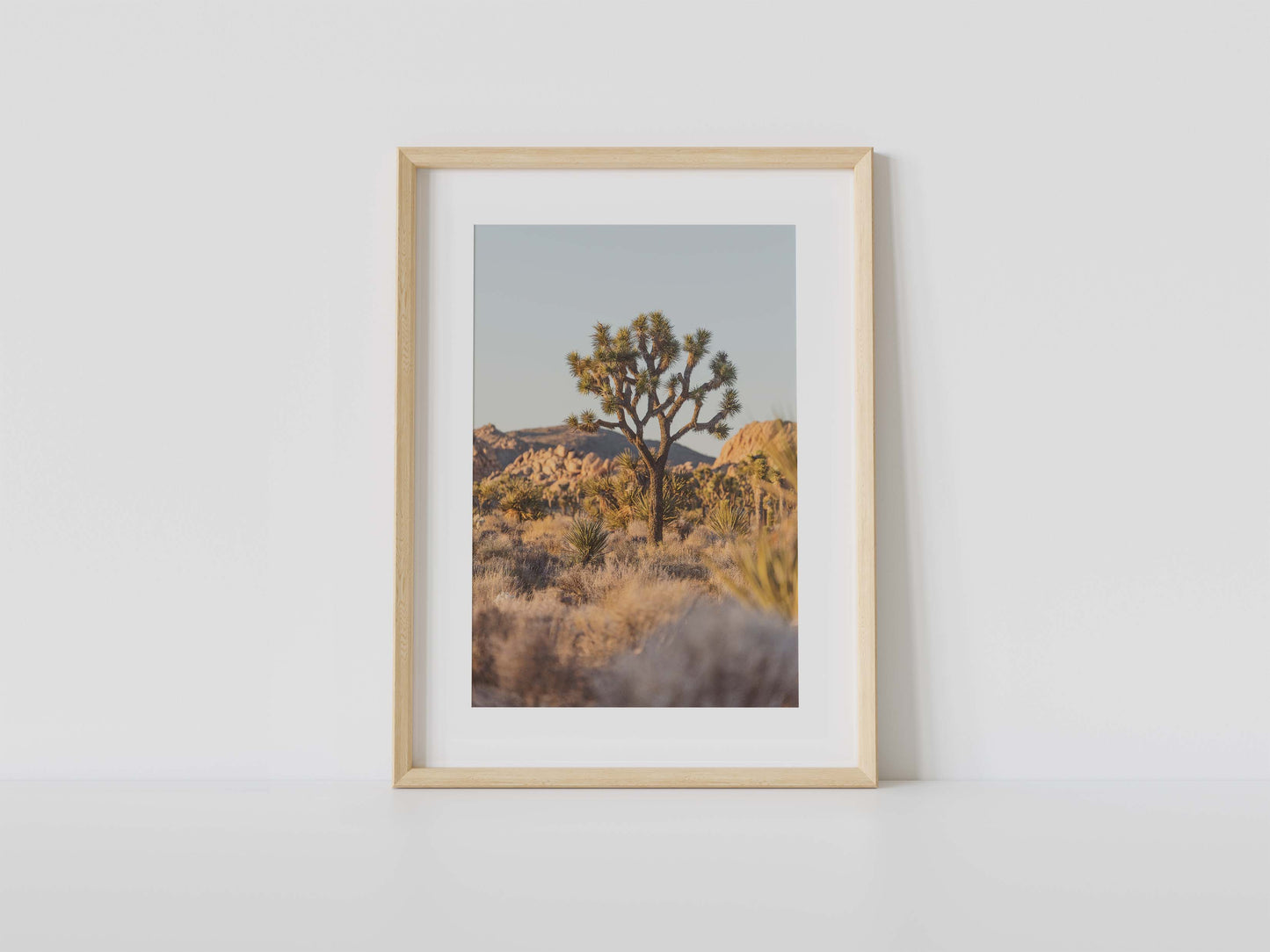 Warm Joshua Tree Sunset