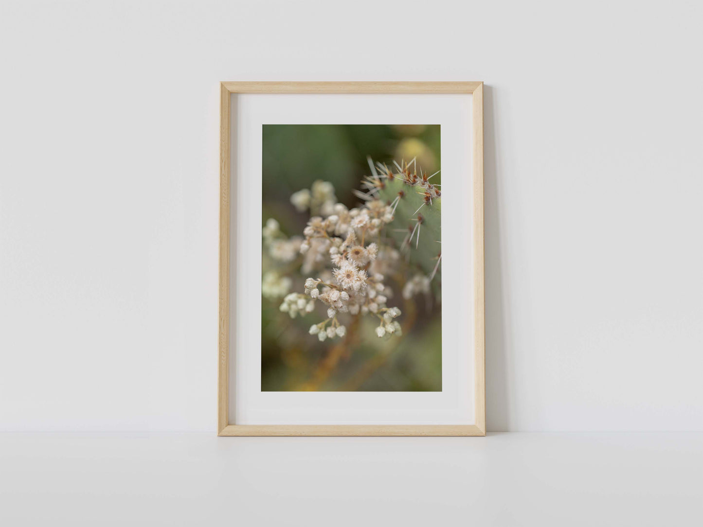 Desert Flowers Detail