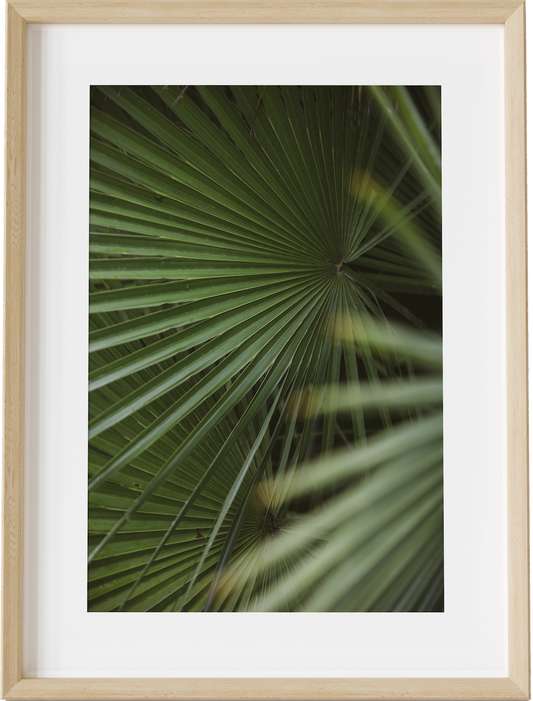 Welcome to the Jungle