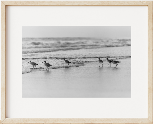 Willets B&W Horizontal
