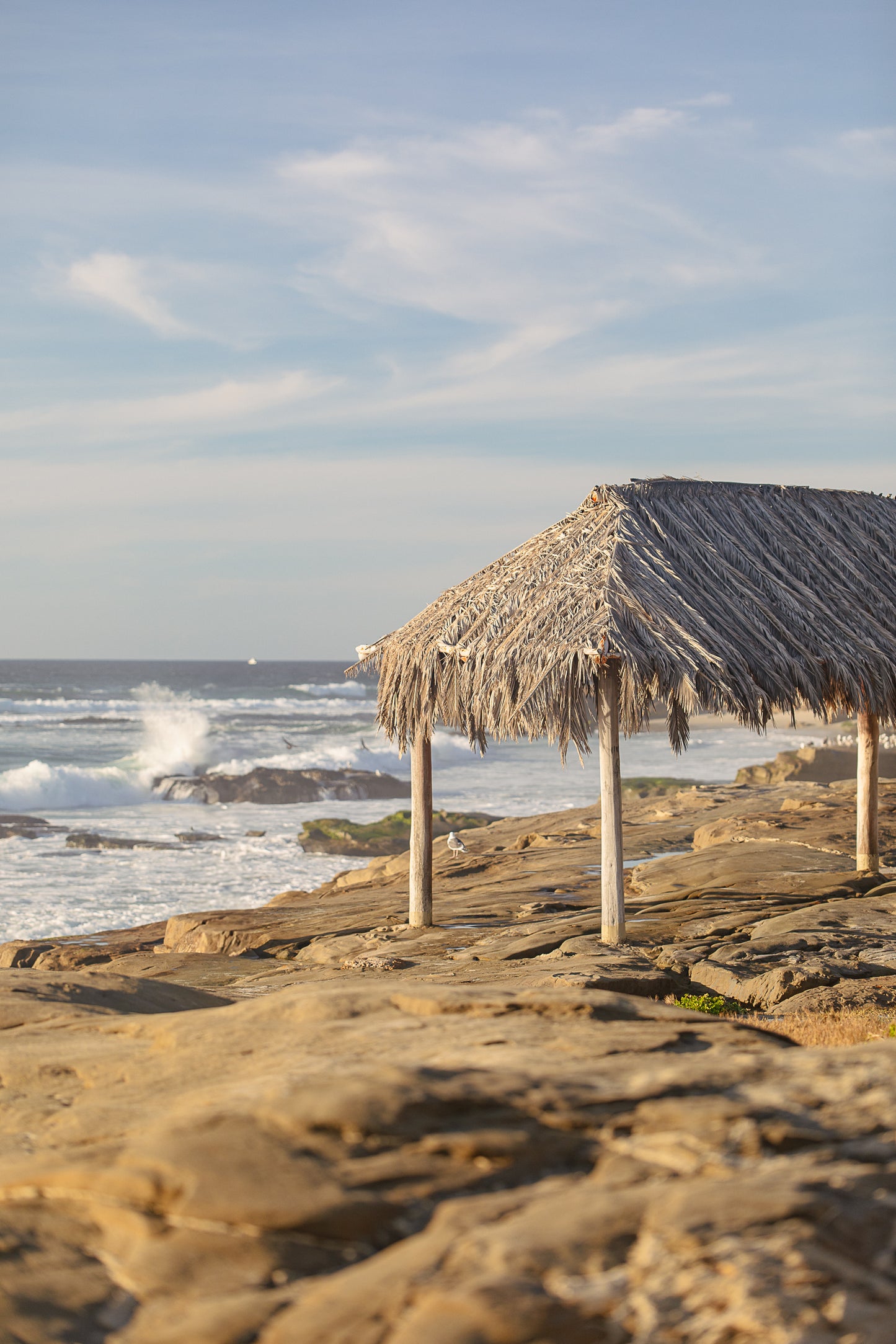 Windansea Hut