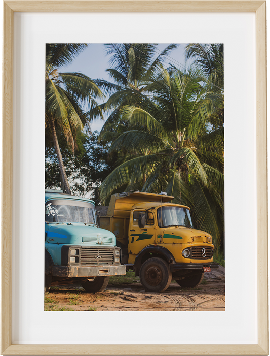 Work Trucks in Bahia