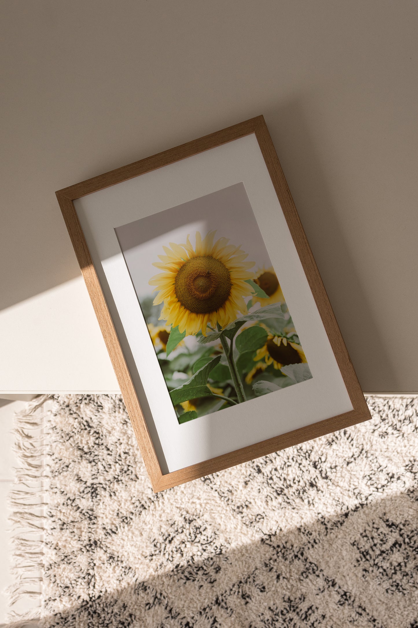Antique Sunflower