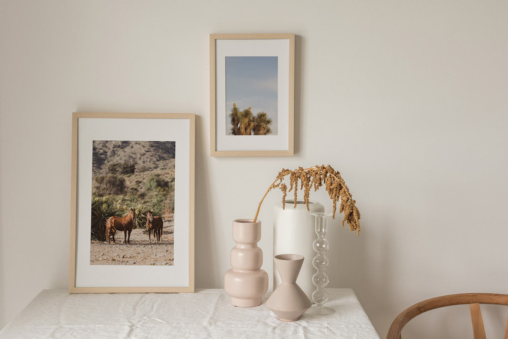 Joshua Tree Tops