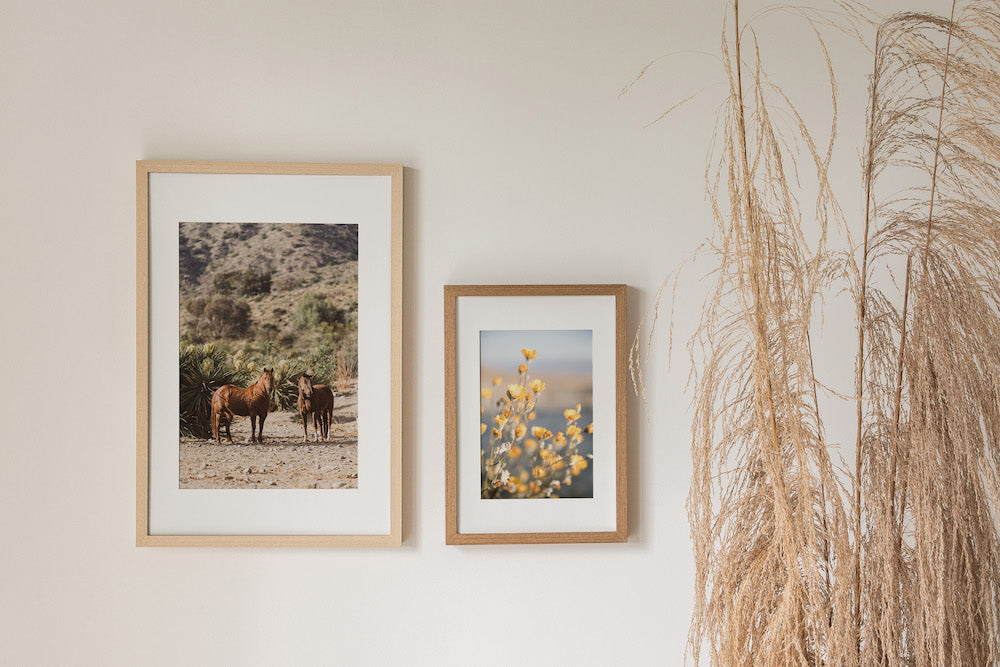 Mojave Desert Horses