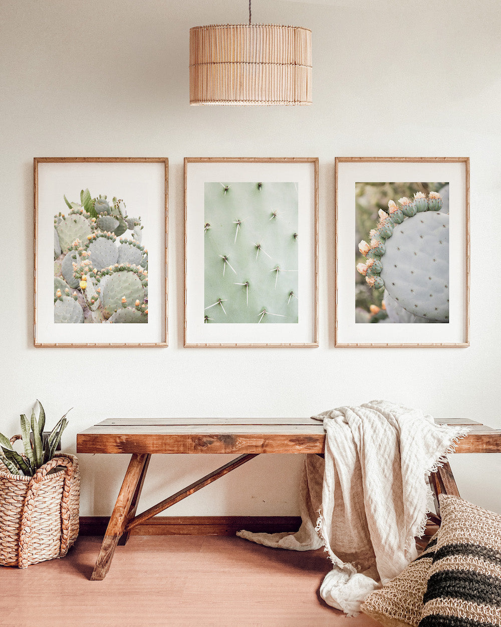 Cactus Detail