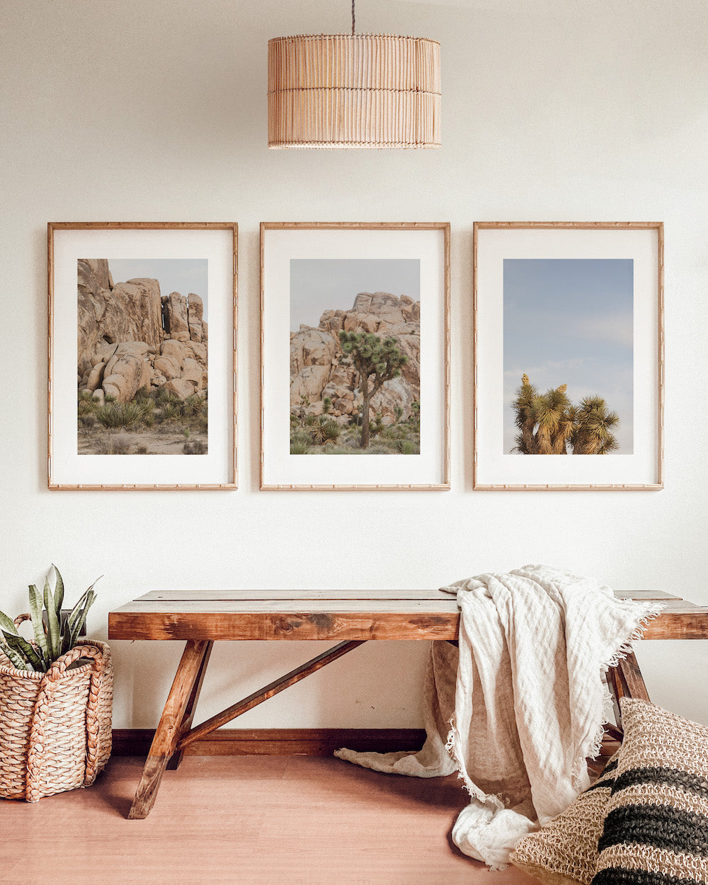 Joshua Tree Rock Outcropping