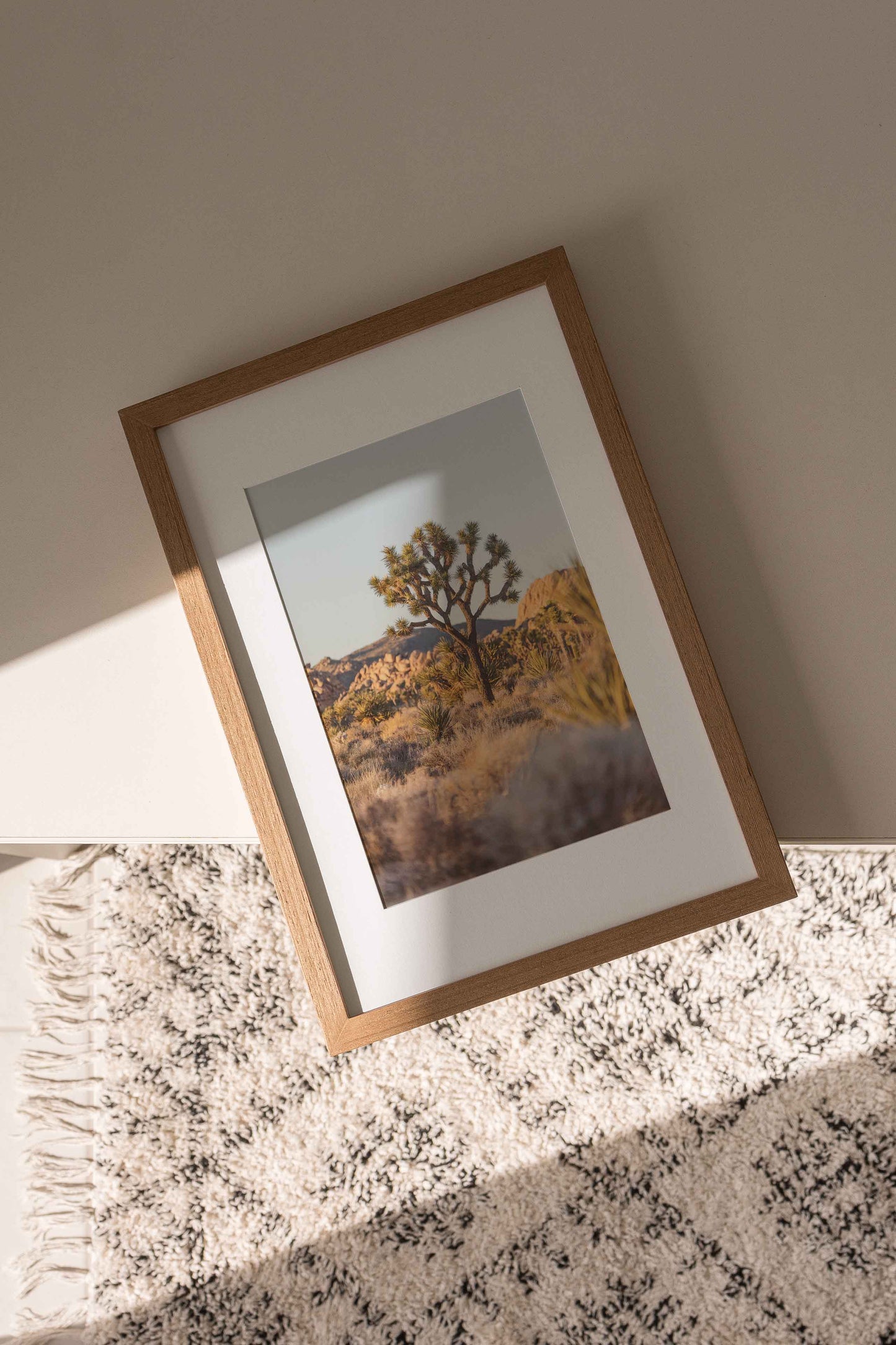 Warm Joshua Tree Sunset