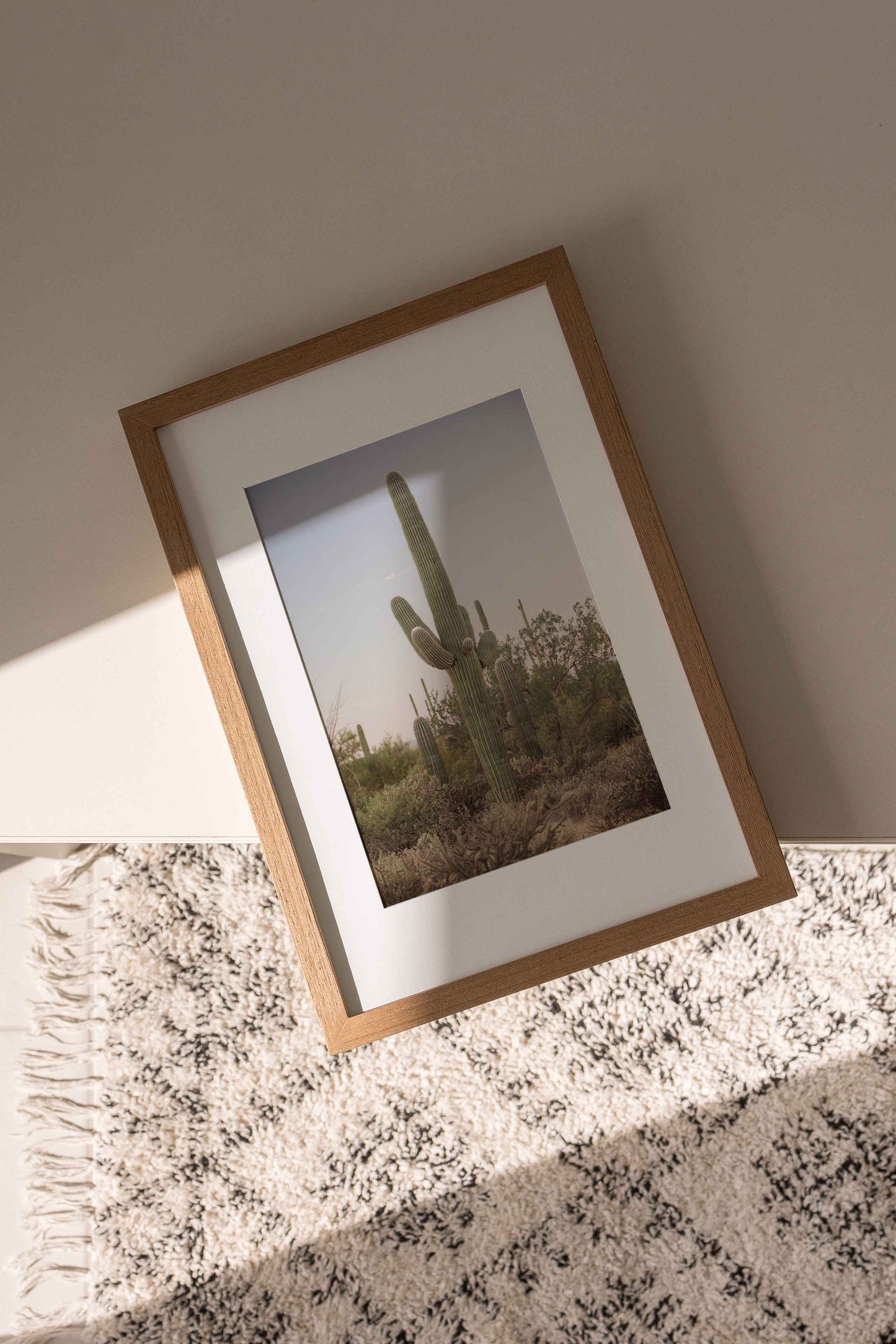 Warm Saguaro Sunrise