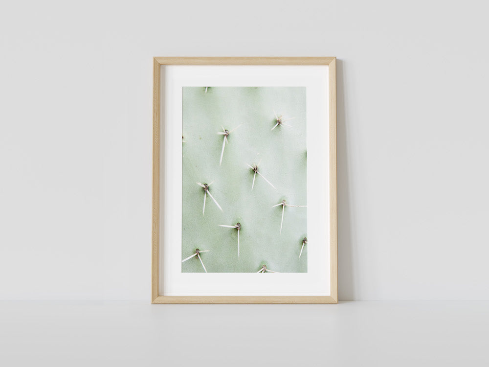 Cactus Detail