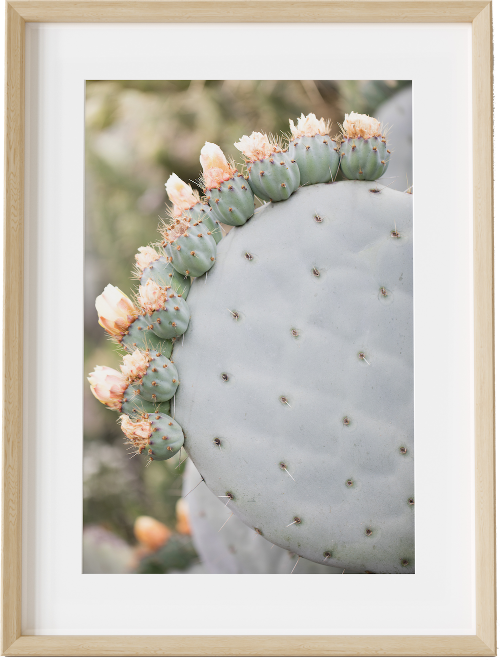 Cactus Crown Single