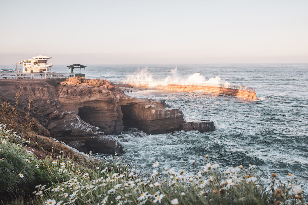 King Tide at Children's Pool