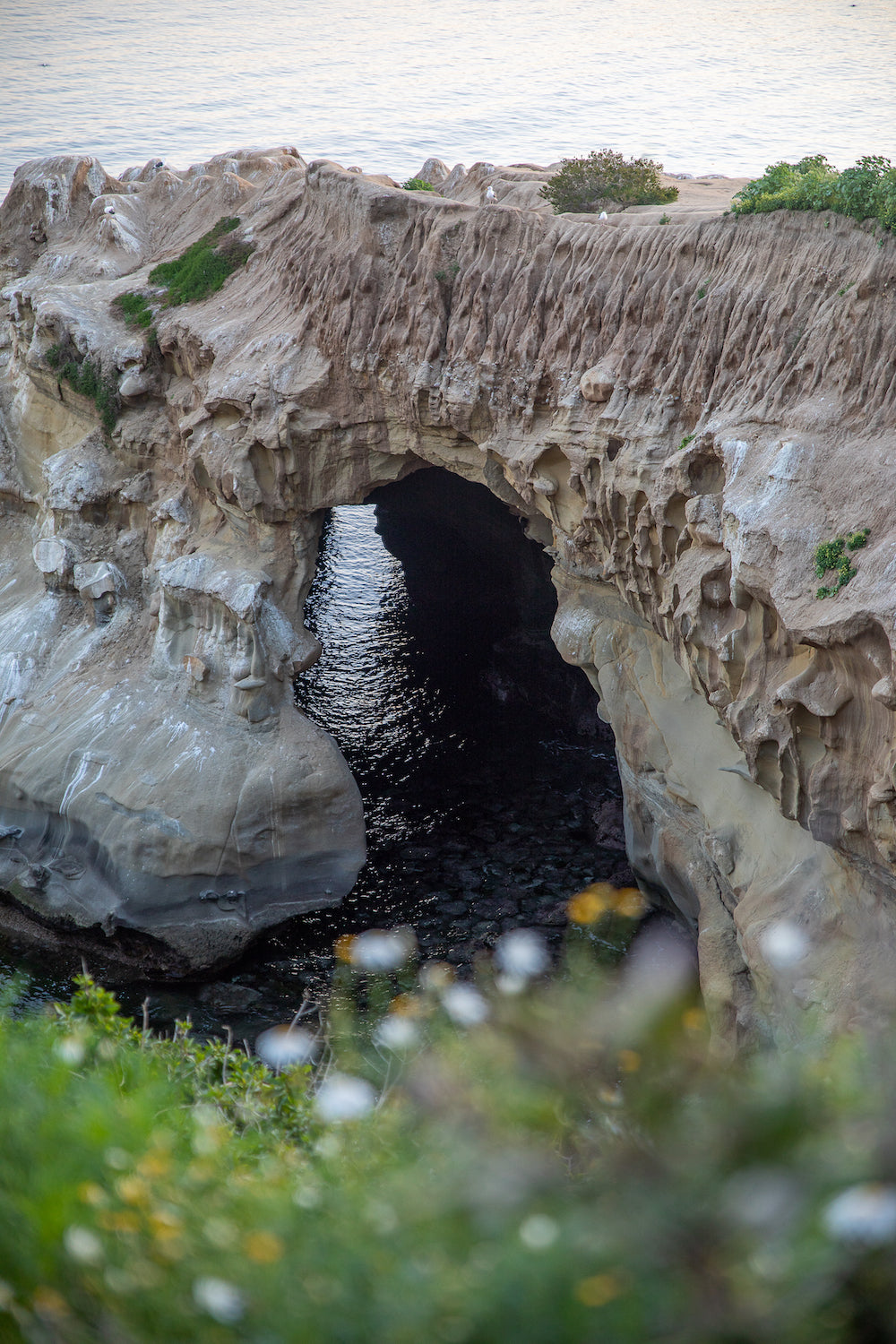 The Cave