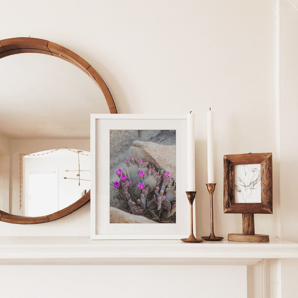 Blooms & Rocks