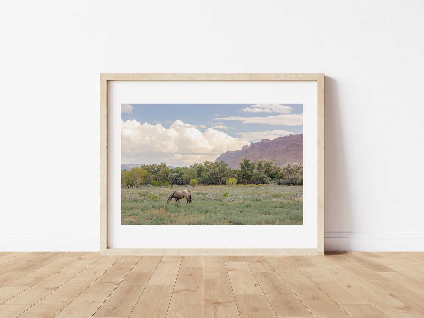 Moab Magic Landscape