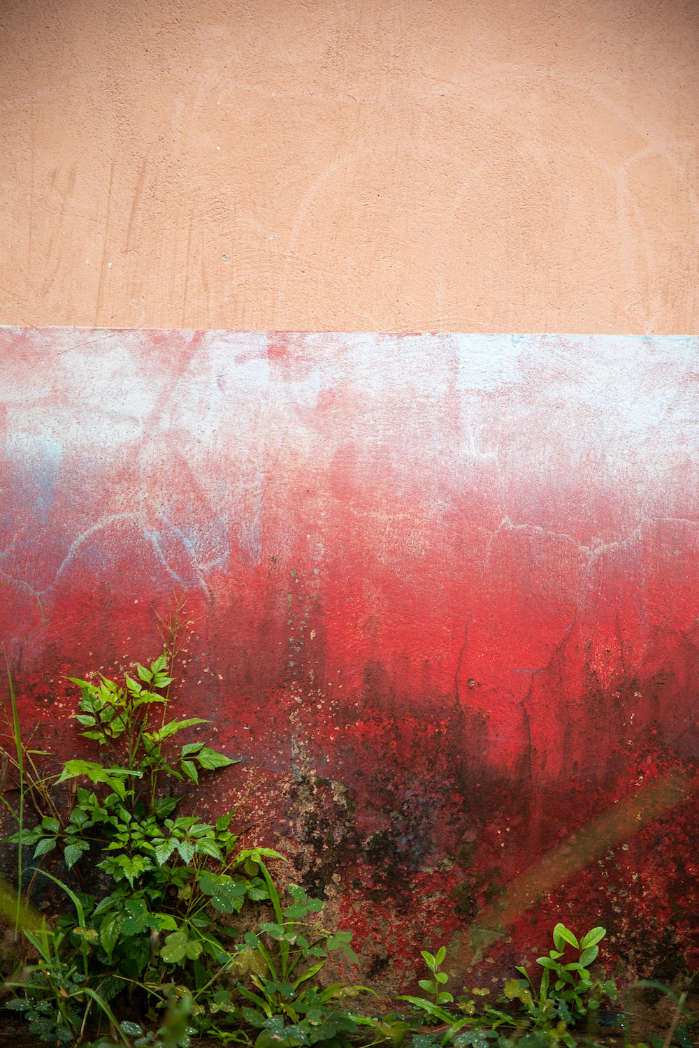 Red Wall Abstract