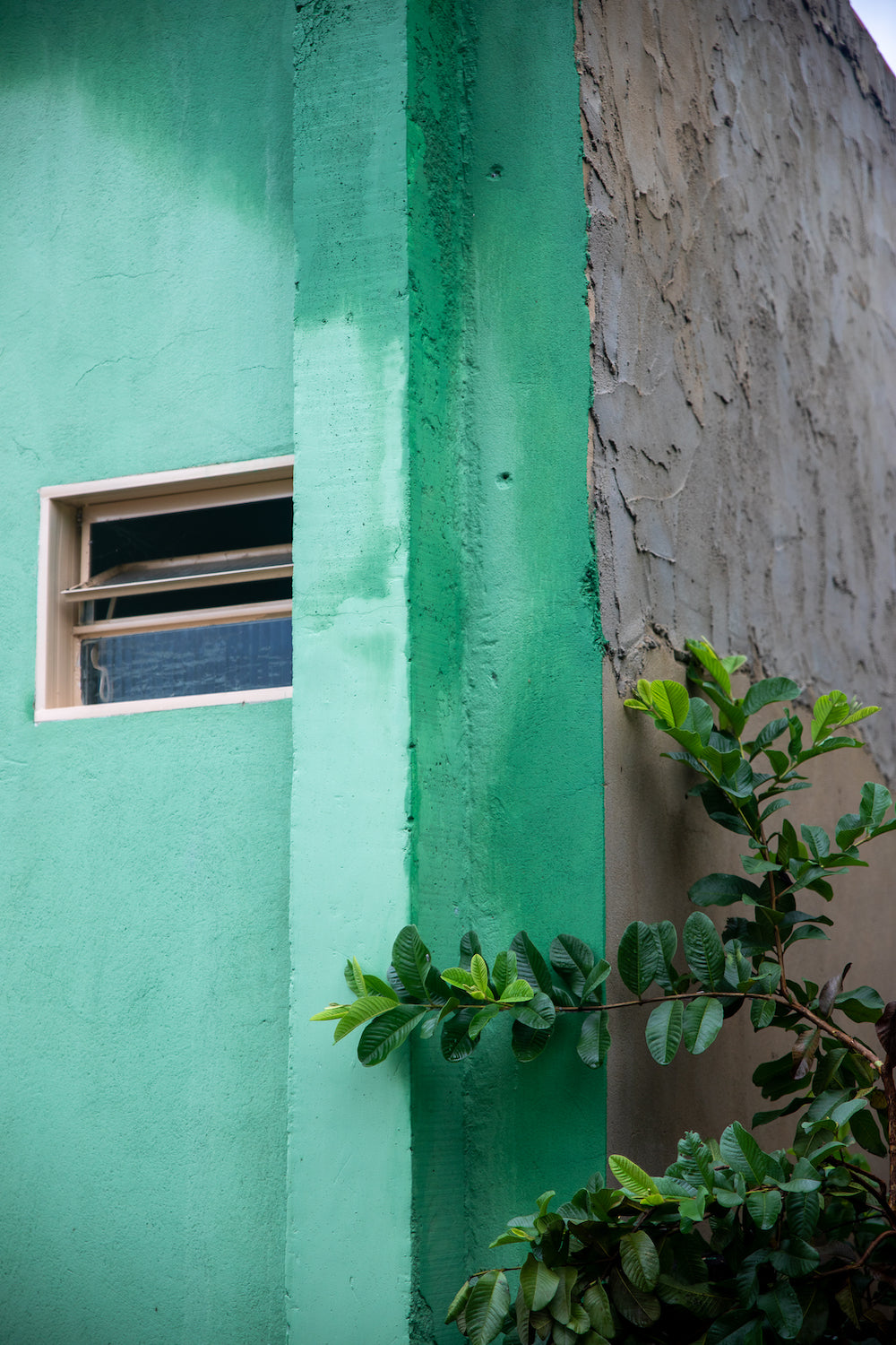 Teal Wall