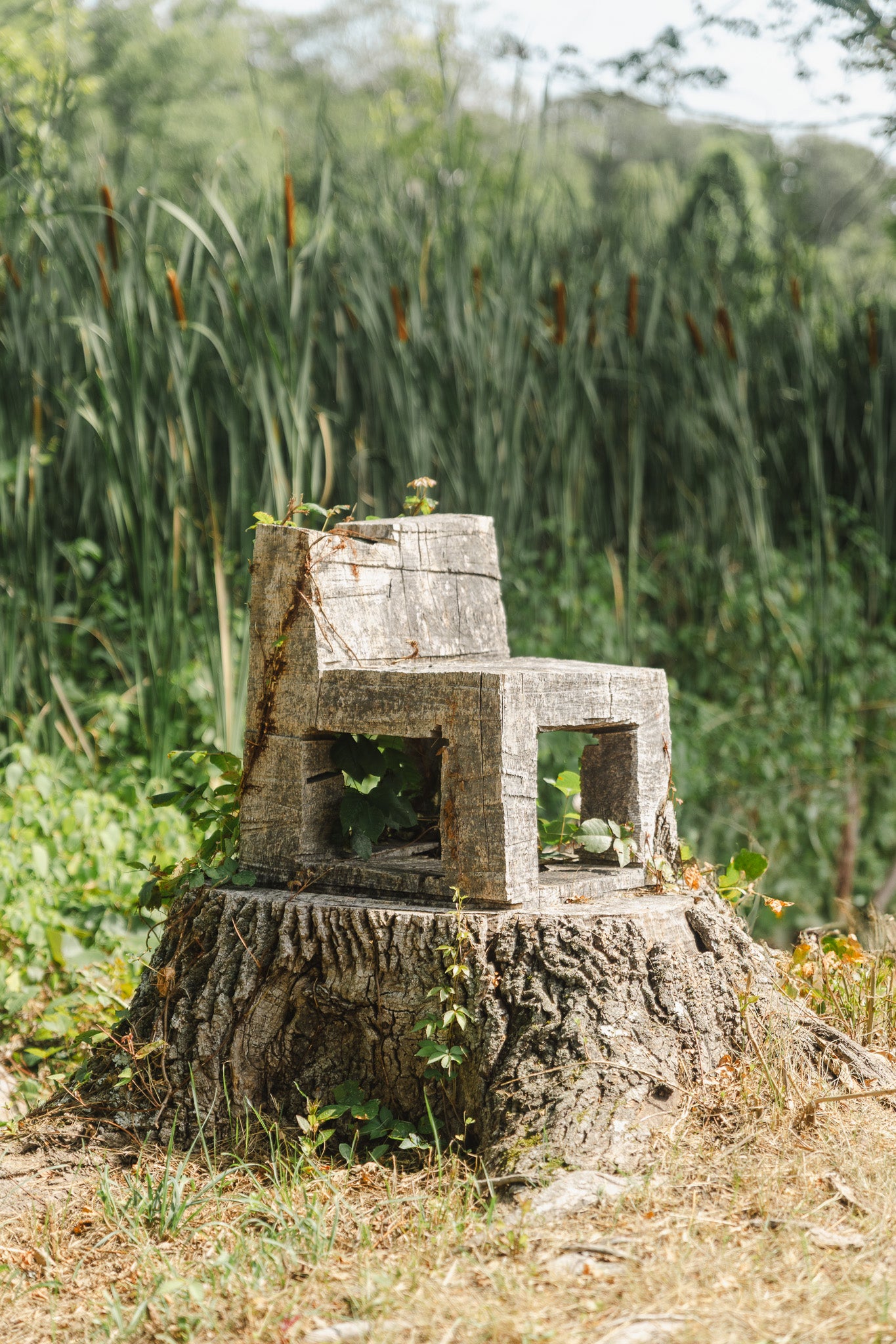 Forest Fairy Chair