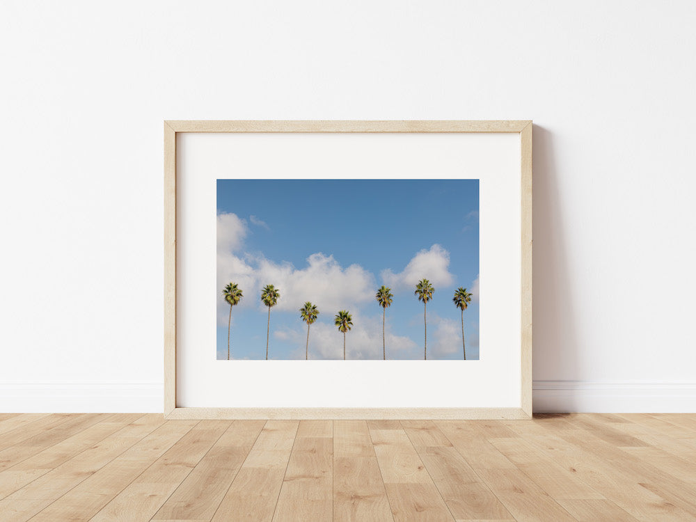 Dancing Palms