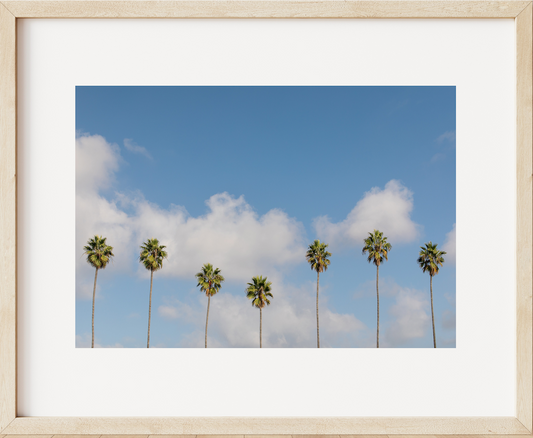Dancing Palms