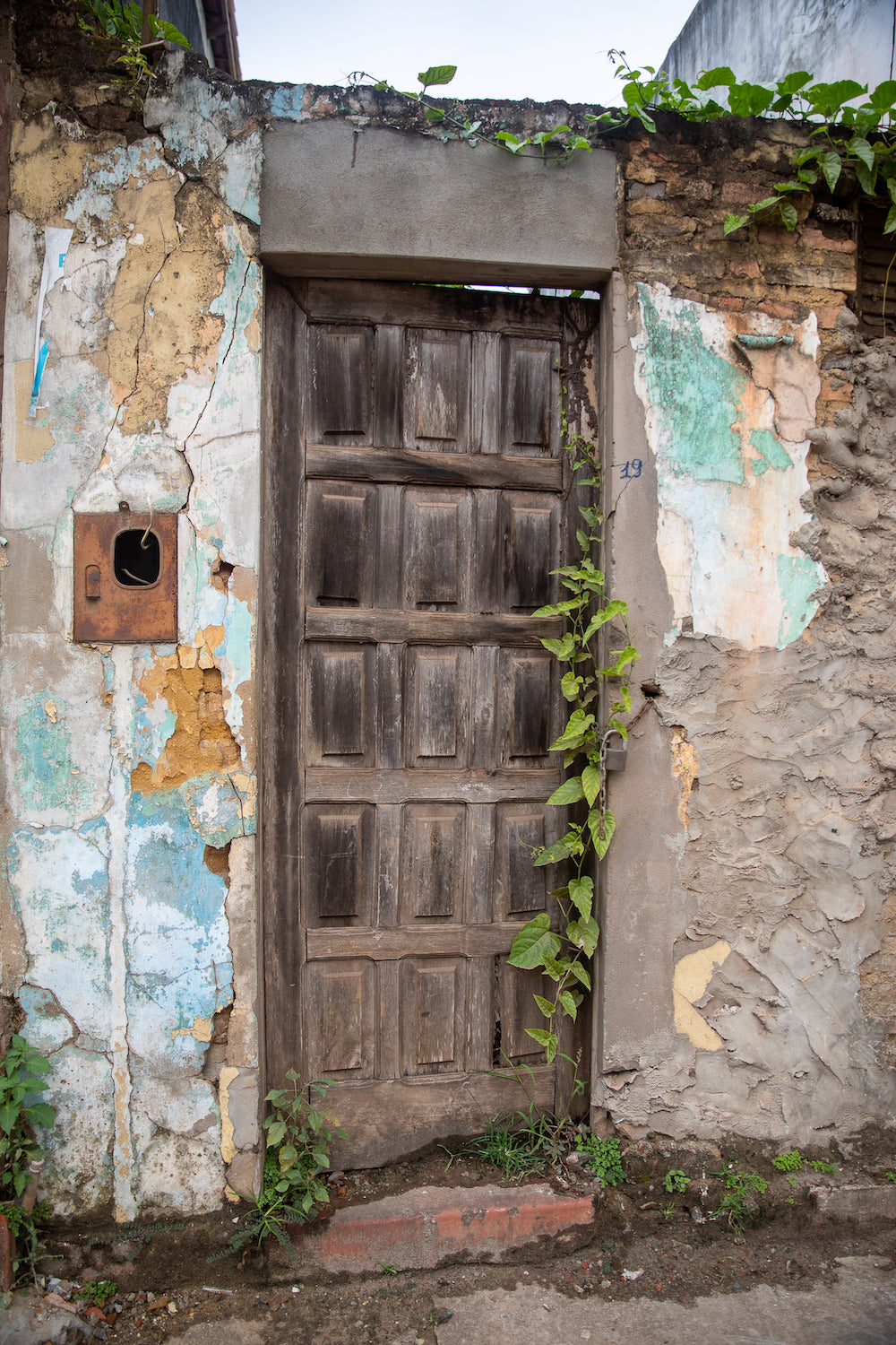 The Secret Door