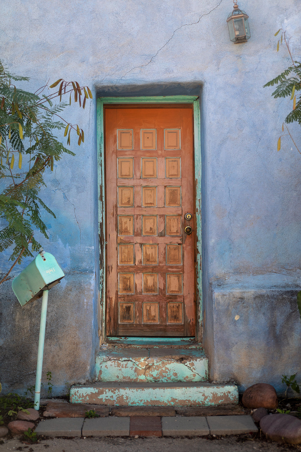 The Painted Door