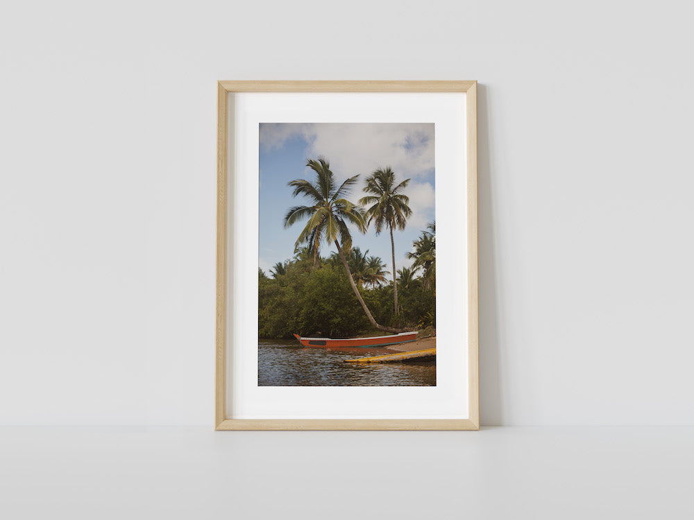 Gone Fishing Bahia