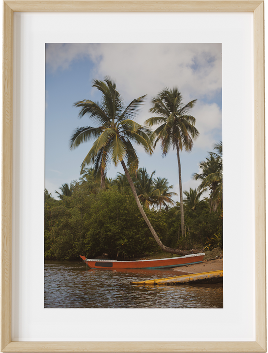 Gone Fishing Bahia